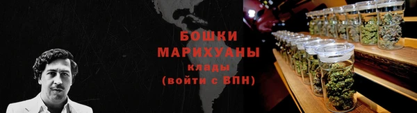 гашик Белоозёрский