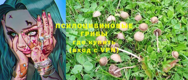 метамфетамин Белокуриха