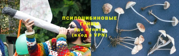 метамфетамин Белокуриха